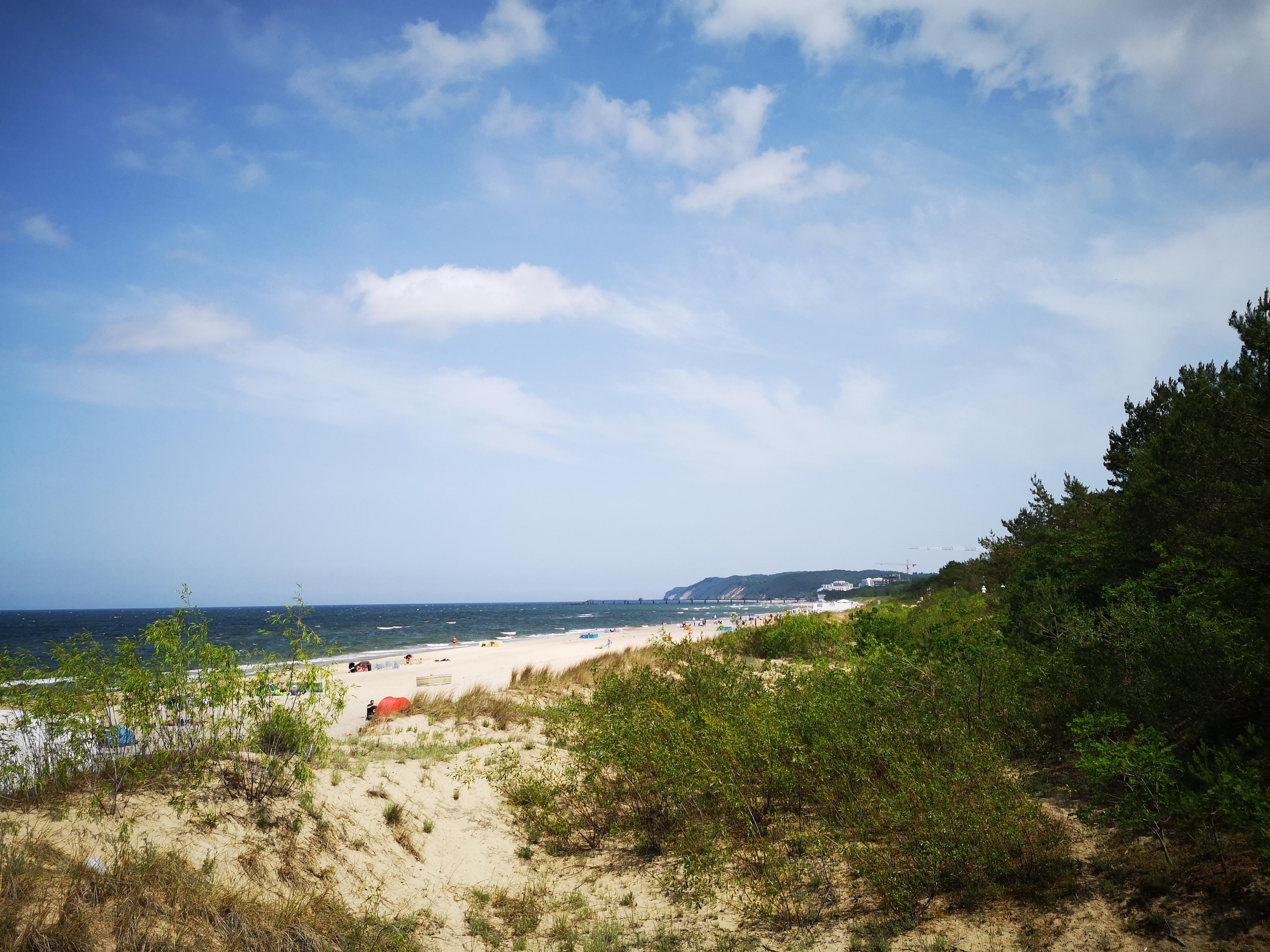 Golden Tulip 4*